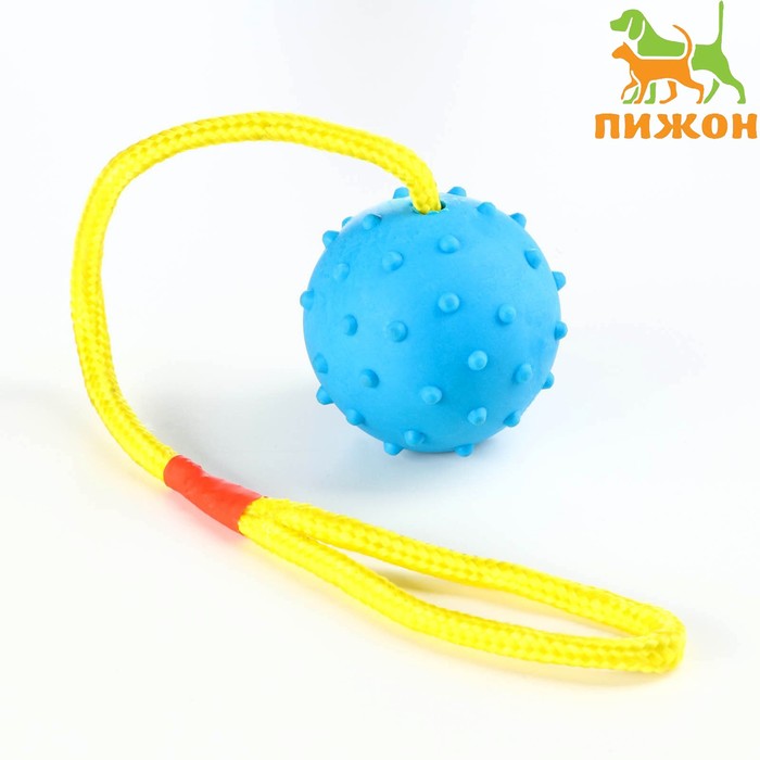 Игрушка мяч на веревке, 6 см, синяя мяч 6 см на веревке цельнолитой резина