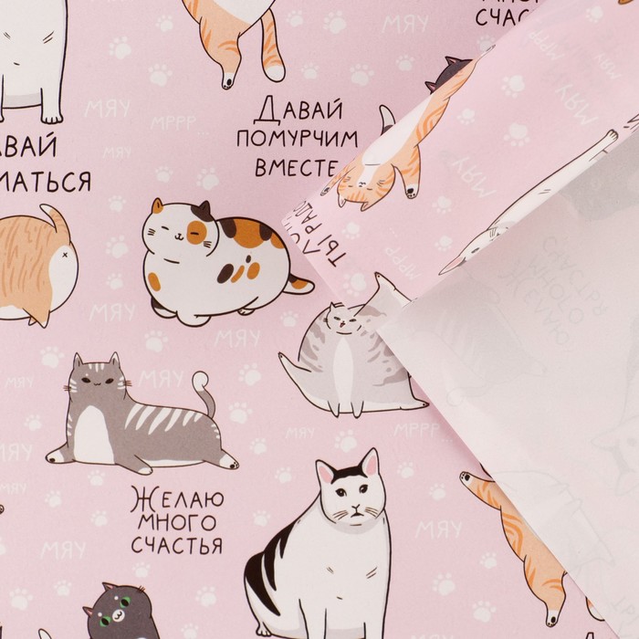 Бумага упаковочная глянцевая «Коты», 70 х 100 см бумага упаковочная глянцевая персонажи 70 х 100 см
