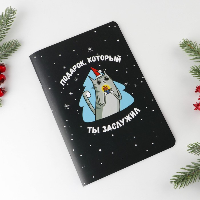 

Блокнот «Подарок, который ты заслужил», А5, 48 листов софт тач