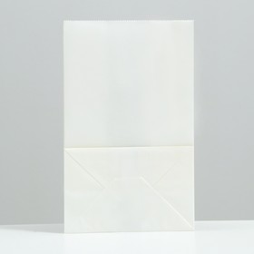 

Пакет бумажный фасовочный, белый, прямоугольное дно 18 х 12 х 29 см 70 г/м2, набор 20 шт