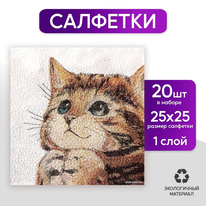 цена Салфетки бумажные однослойные «Котёнок», 24 х 24 см, набор 50 штук