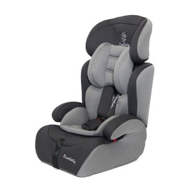 

Автокресло Everflo Orsababy YB702A, 9-36 мес, цвет gray black