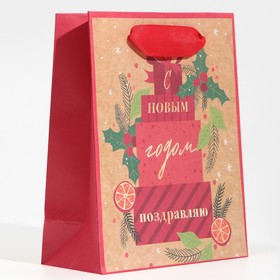 

Пакет крафтовый вертикальный «С НГ», S 12 × 15 × 5.5 см