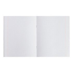 

Тетрадь 80 листов в клетку "Мой котик", обложка мелованный картон, красные поля, блок 60 г/м2, МИКС