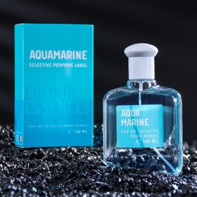 Туалетная вода мужская "Aquamarin", 100 мл