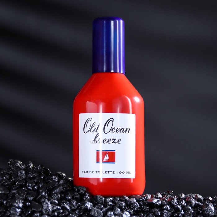 

Туалетная вода мужская Old Ocean breeze, 100 мл