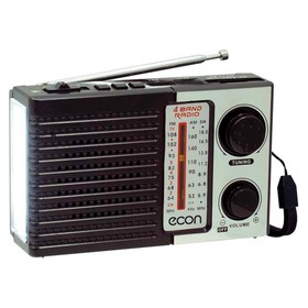 Радиоприемник Econ ERP-2400UR, 3Вт, 220В, AUX, microSD, FM, цвет чёрный Ош