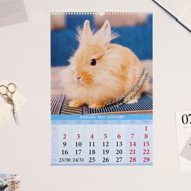 

Календарь перекидной на ригеле "Символ - 2, с пословицами" 2023 год, 32х48см