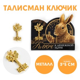 Сувенирный ключ «Ключ к денежной удачи», металл, 3 х 5 см Ош