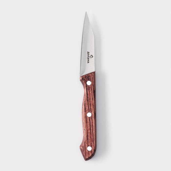 Нож овощной Доляна Ecology, лезвие 8,5 см
