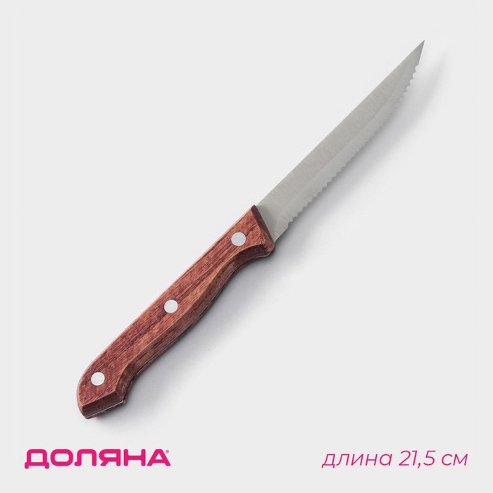 Нож для мяса и стейков Доляна Ecology, лезвие 11 см, цвет коричневый