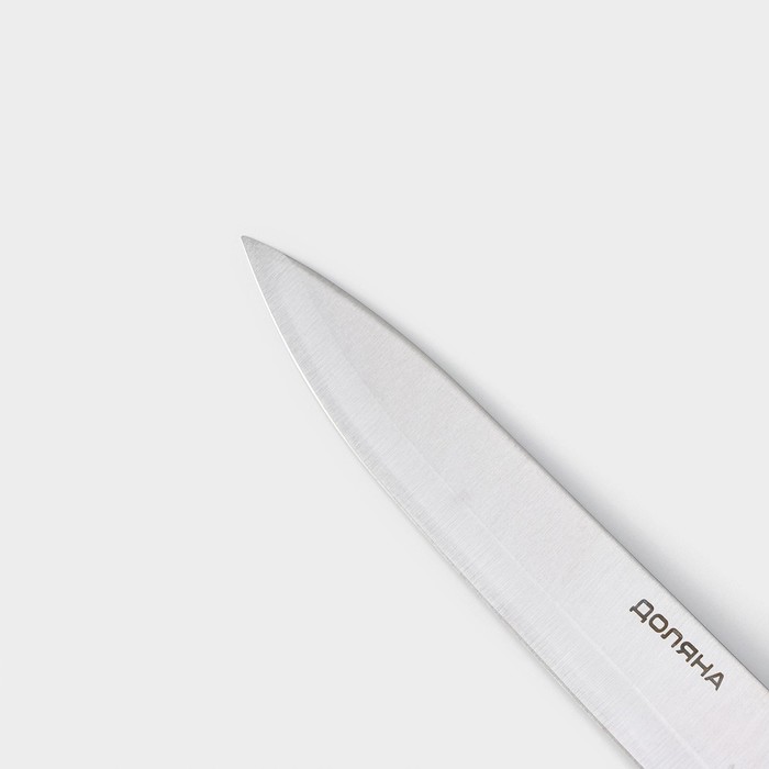 Нож Шеф Доляна Ecology, лезвие 20 см