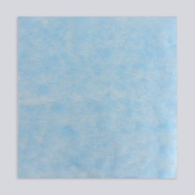 

Салфетка одноразовая, плотность 14 г/м2, SS, 40 × 40 см, 200 шт, цвет голубой