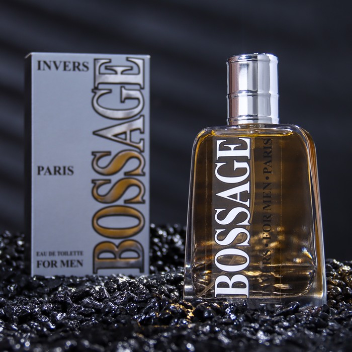 Туалетная вода мужская Alain Aregon, BOSSAGE INVERS, 85 мл positive parfum men alain aregon korvet atlant туалетная вода 100 мл