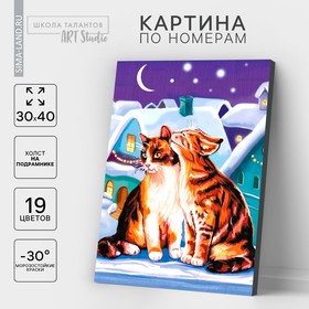 Картина по номерам на холсте с подрамником «Коты», 30 х 40 см