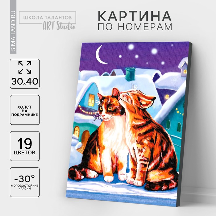 

Картина по номерам на холсте с подрамником «Коты», 30 х 40 см