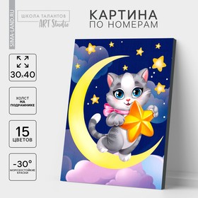 Картина по номерам на холсте с подрамником «Котик со звёздочкой» 30 × 40 см