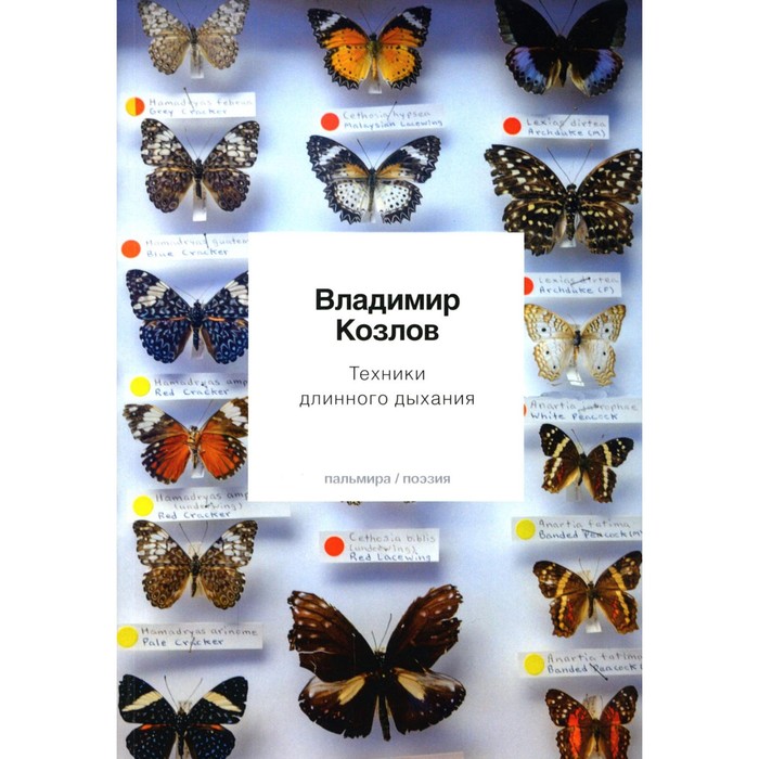 Техники длинного дыхания. Козлов В. козлов в психология дыхания музыки и движения