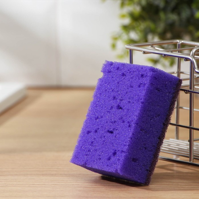 Набор губок для мытья посуды Raccoon «Версаль», 5 шт, 9×6,5×3,5 см, крупнопористый поролон, цвет фиолетовый
