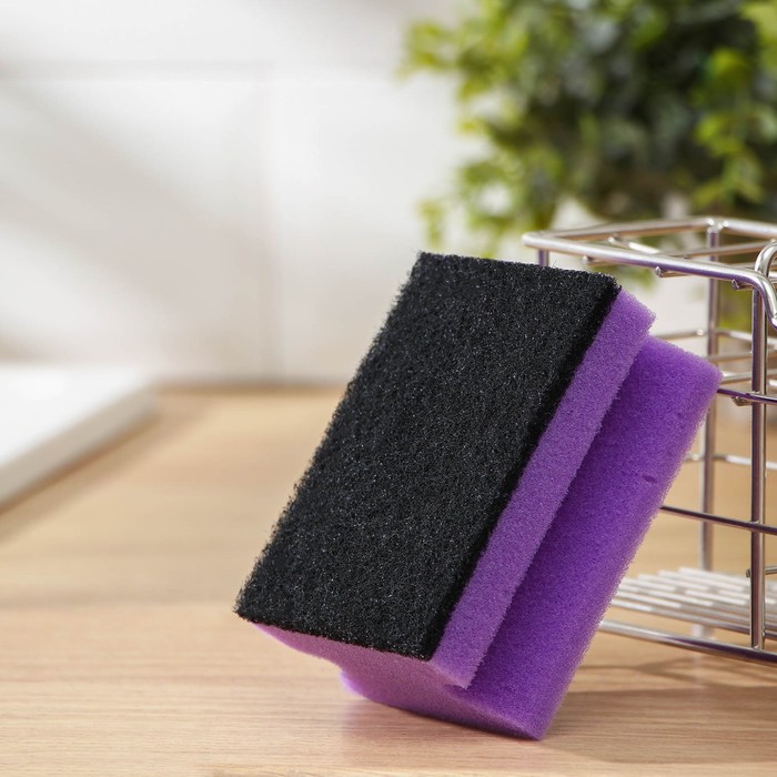 Набор губок для мытья посуды Raccoon «Фьюжн», 2 шт, 9,5×7×4,4 см, цвет фиолетовый