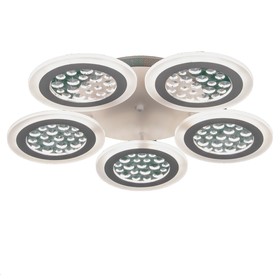 

УЦЕНКА Люстра с ПДУ 1968/5 LED 170Вт 3000-6000К диммер белый 58х58х6 см