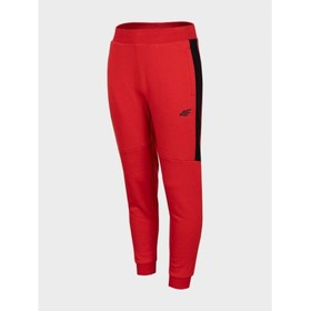 

Брюки 4F BOY'S TROUSERS, рост 140 см (HJZ22-JSPMD003-62S)
