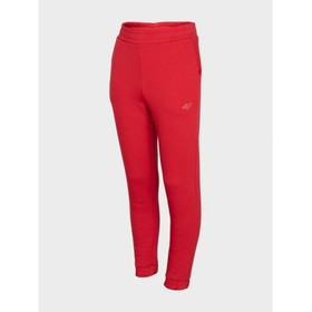 

Брюки 4F GIRL'S TROUSERS, рост 140 см (HJZ22-JSPDD002-62S)