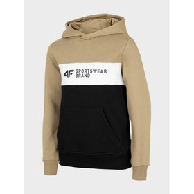 

Худи 4F BOY'S SWEATSHIRT, рост 140 см (HJZ22-JBLM003-82S)