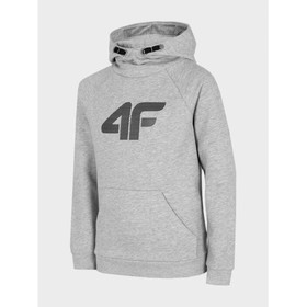 

Худи 4F BOY'S SWEATSHIRT, рост 140 см (HJZ22-JBLM002-25M)