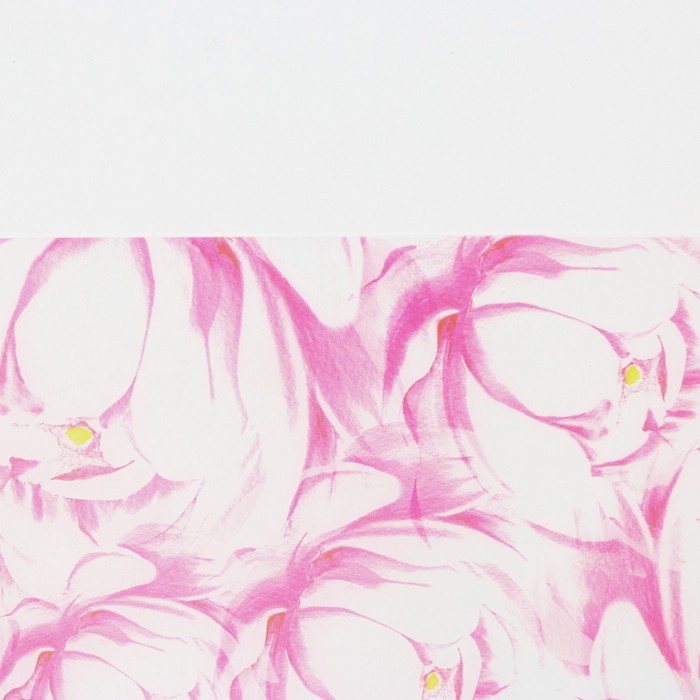 Пергамент для цветов «Цветы», 50 × 70 см