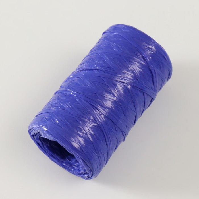 Пряжа "Для вязания мочалок" 100% полипропилен 300м/75±10 гр (чернила)