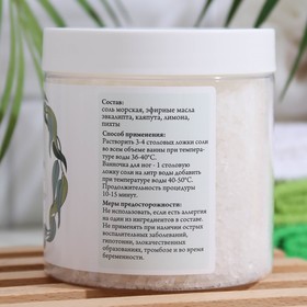 Соль для ванн СпивакЪ, эвкалипт, 600 г