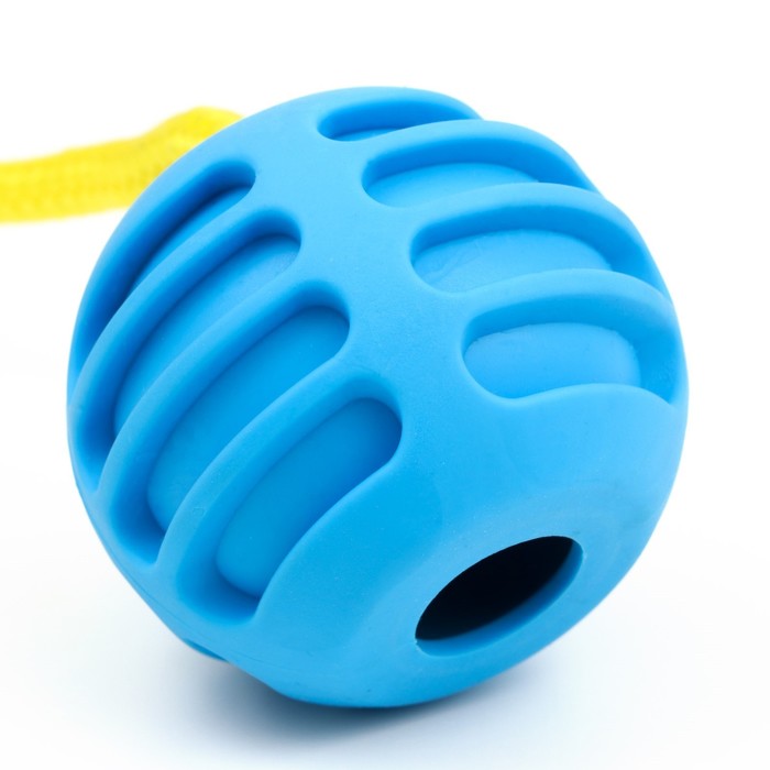 Игрушка "Шар усиленный на веревке", 43 см, шар 6 см, голубой