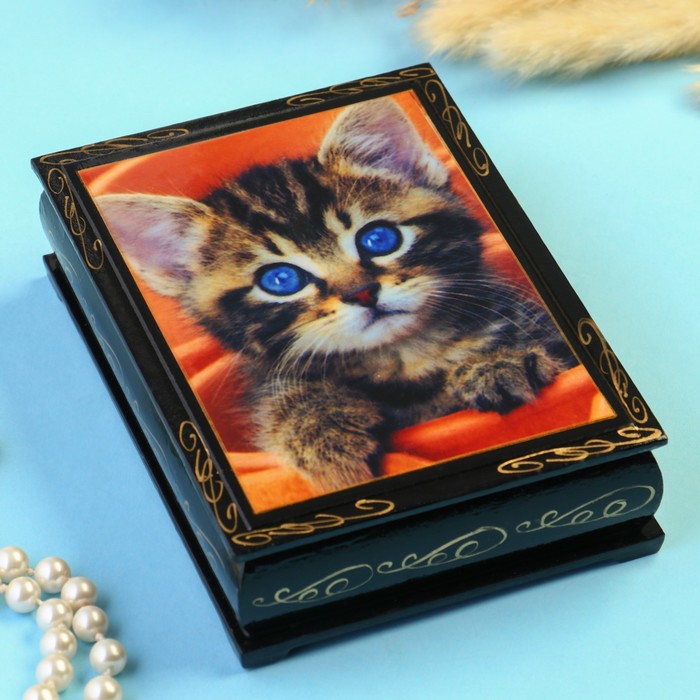 цена Шкатулка Голубоглазый котенок10×14 см, черная