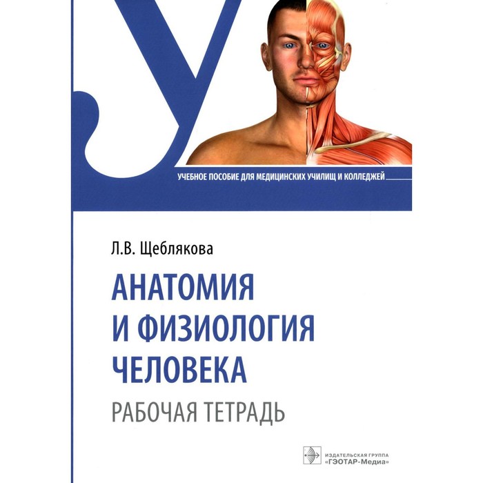 Анатомия и физиология человека. Щеблякова Л.В. анатомия и физиология