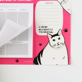 

Планер на магнитах с отрывными листами, 50 листов «Кот белый»