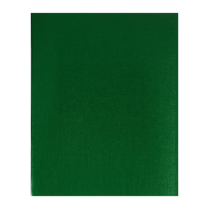 Тетрадь 48 листов в клетку на скрепке METALLIC Зелёная, обложка бумвинил, блок офсет