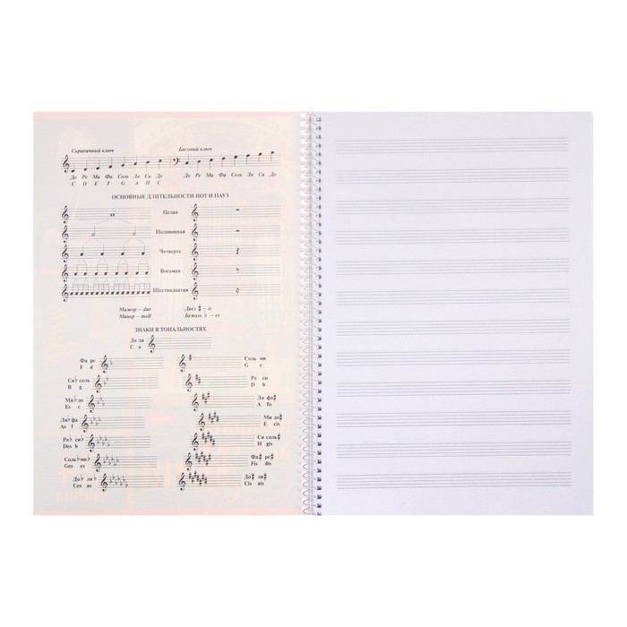 Тетрадь для нот А4, 24 листа "БАХ", со справочной информацией, обложка мелованный картон, блок офсет