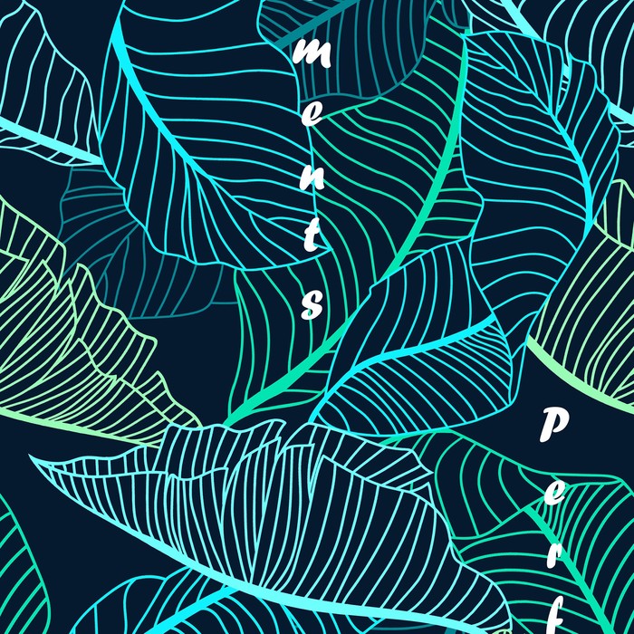 

Постельное бельё 2сп Традиция Неон 177х217 см, 180х217 см, 70х70 см 2шт, 125г/м² 100% хлопок