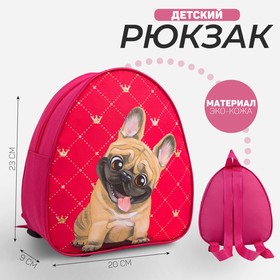 Рюкзак детский «Собака», 23×20,5 см, отдел на молнии Ош