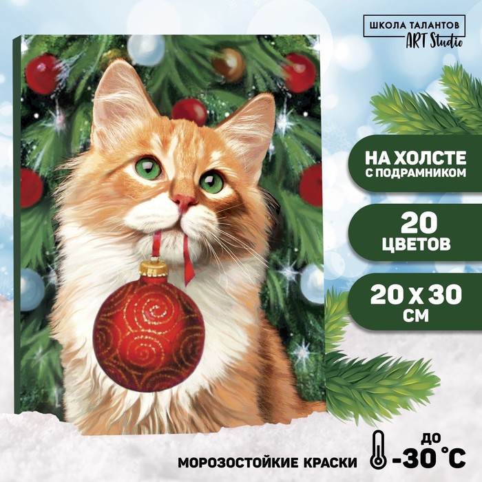 Картина по номерам на холсте с подрамником «Рыжий кот с шариком» 20 × 30 см фотографии