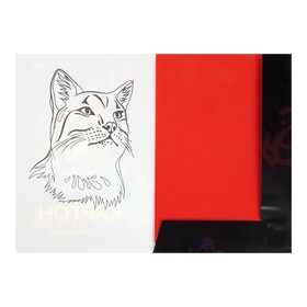

Картон цветной А4, 10 листов, 10 цветов, лакированный, "Рысь", 200 г/м2, в папке