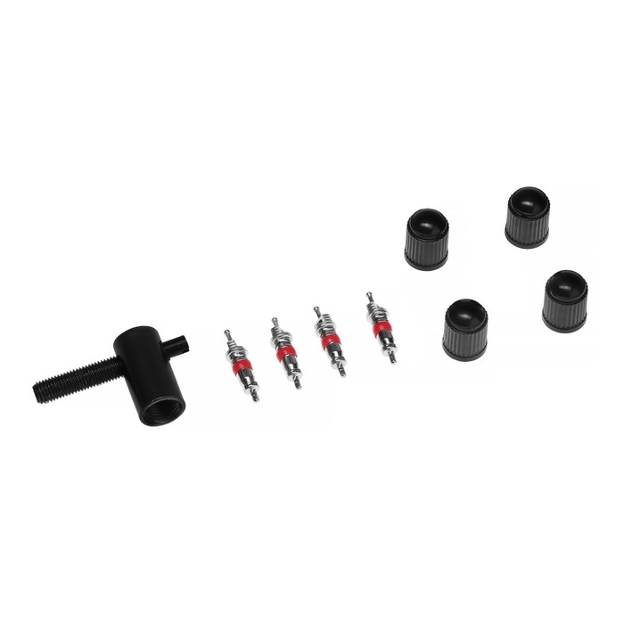 

Набор автолюбителя №4, 4 колпачков, пластик, 4 золотников коротких, ключ