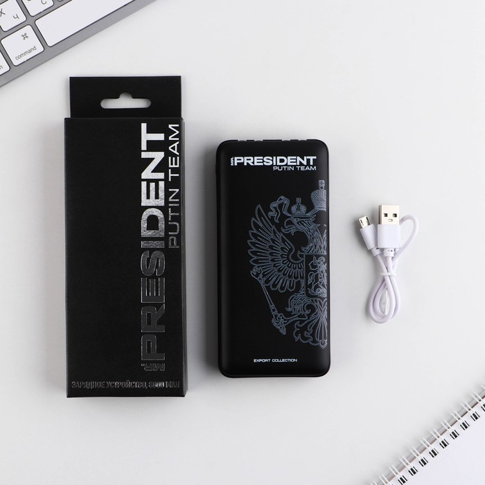 Зарядное устройство Putin team 8000мАмодель PB-27 145 х 69 см 145900₽