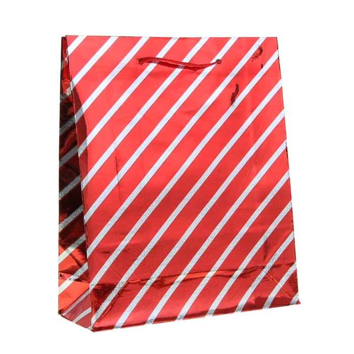 Пакет голографический "Серебряная полоска", 23 х 27 х 8 см