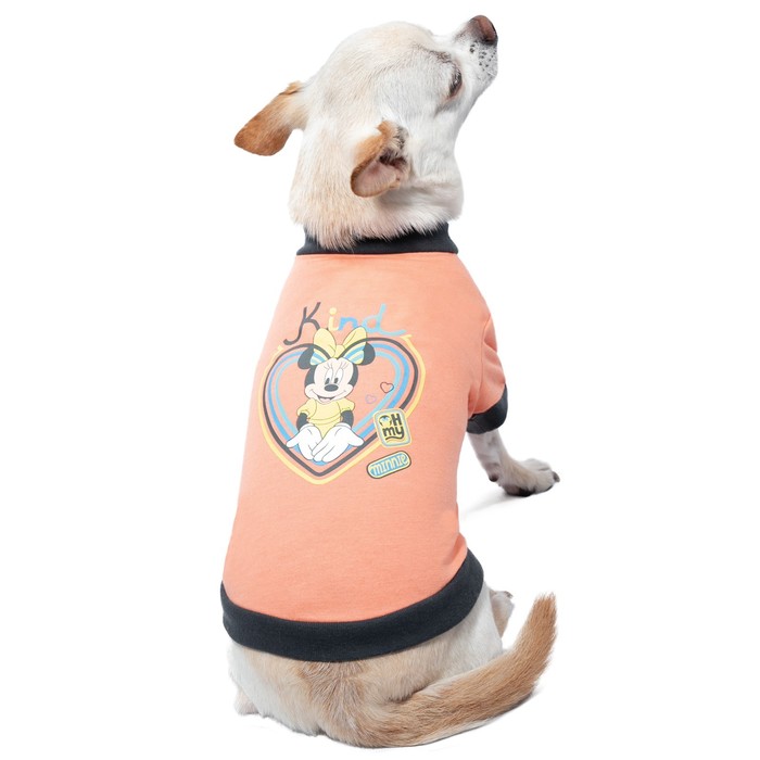 

Футболка Disney Minnie Vintage, размер L (ДС 35 см)