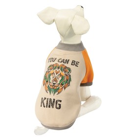 

Толстовка "Царь зверей" M, размер 30см