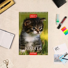 Календарь на пружине 'Котята' 2023 год, 17х25 см Ош