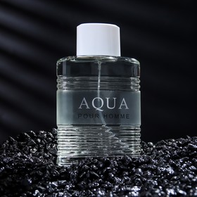 

Туалетная вода мужская AQUA, 100 мл