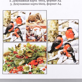 

Набор декупажных карт 3 шт "Готовимся к зиме" плотность 45г/м2